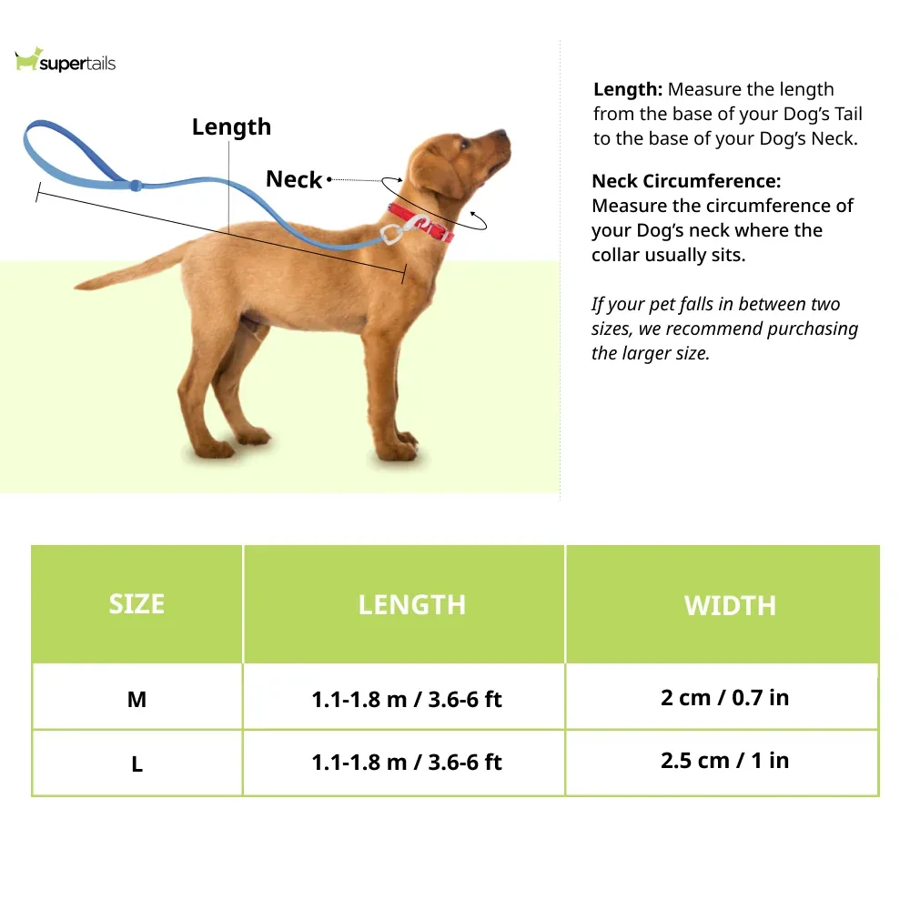 Red Dingo Classic SuperLead Leash For Dogs (Red) - Image 2