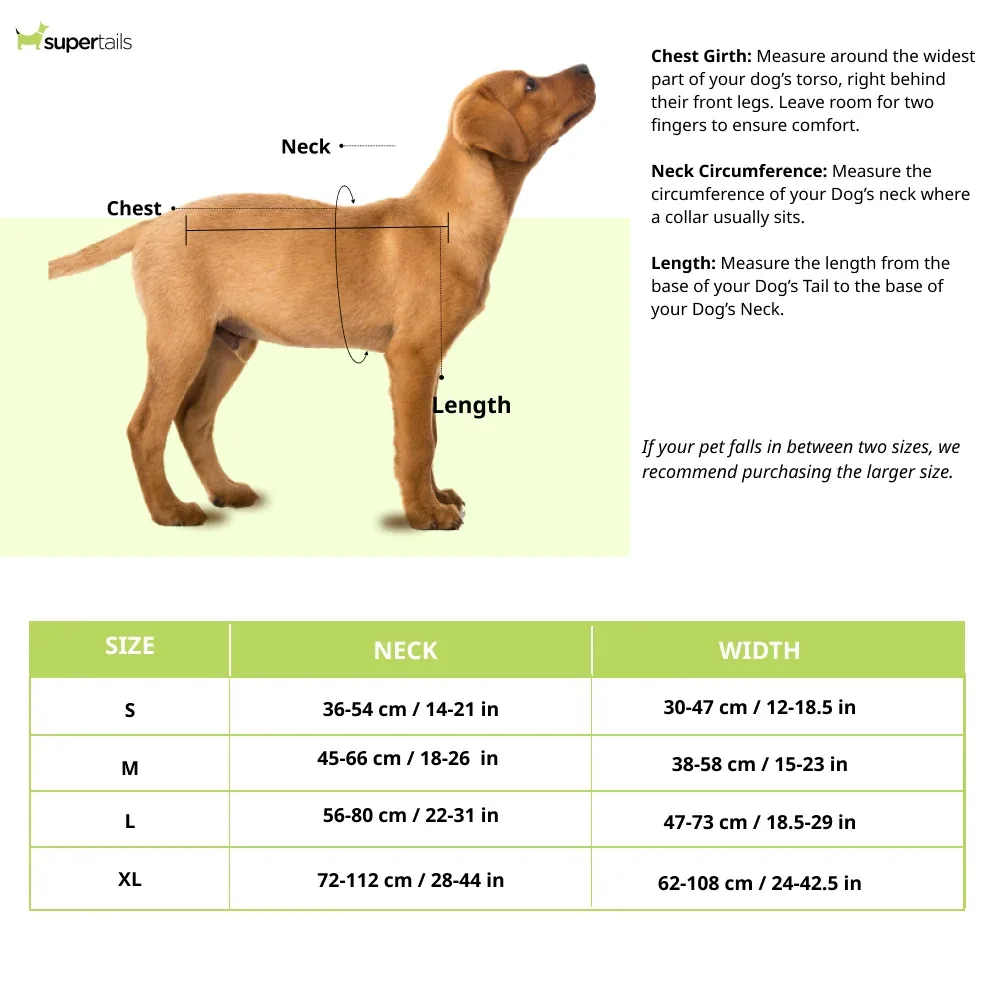 Red Dingo Padded Harness For Dogs (Red) - Image 2