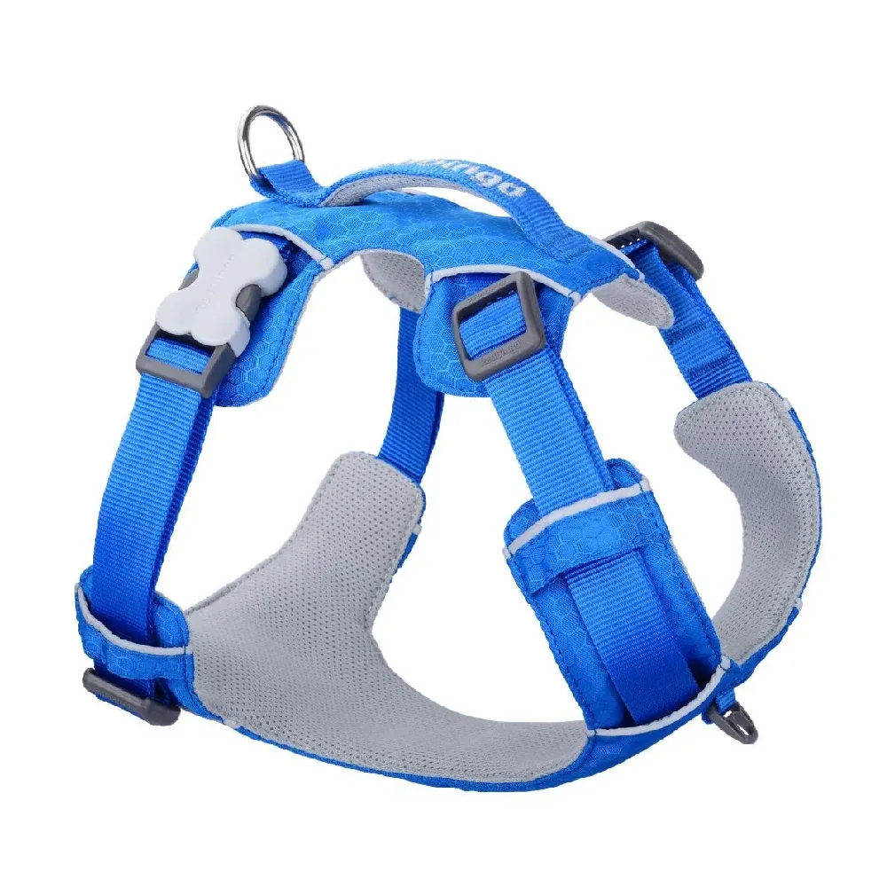 Red Dingo Sport Harness for Dogs (Electric Blue)