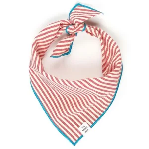 Red Stripe Blue Trim Dog Bandana