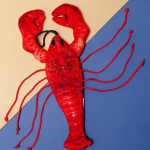 Red the Lobster Cat Toy <>