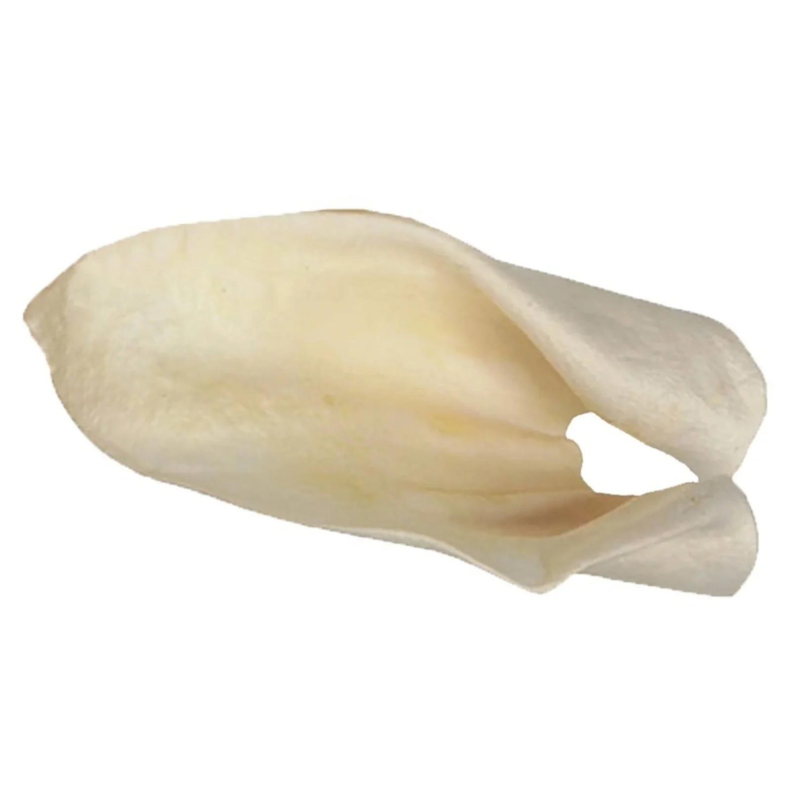 Redbarn Cow Ears Bulk Box 100ct - Image 2