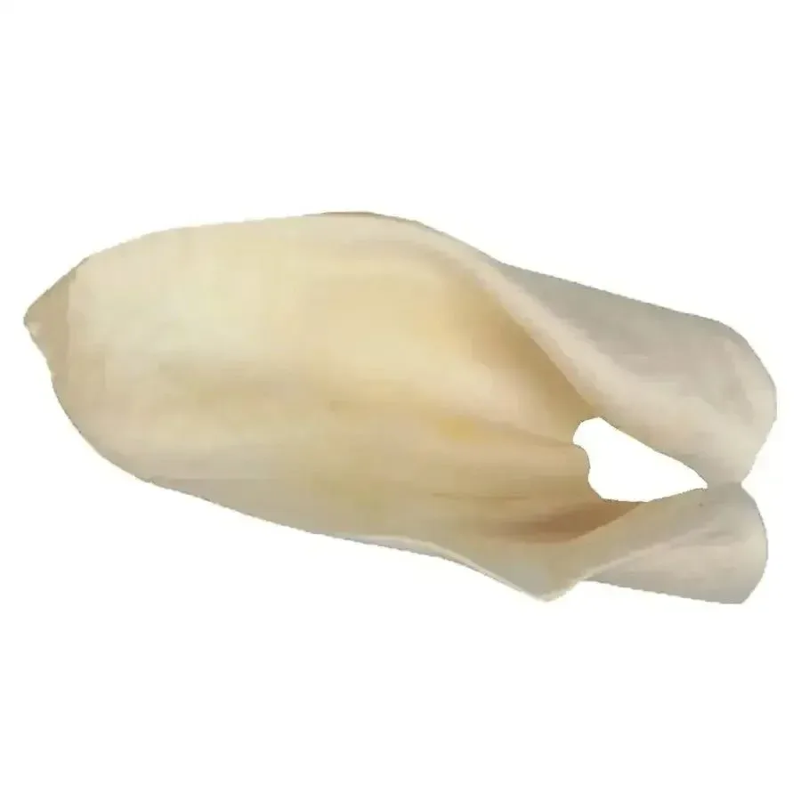 Redbarn Pet Products Cow Ears Dog Chew 100 ct