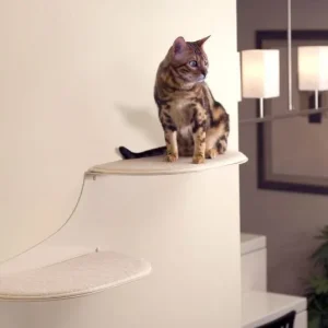 Refined Feline Cat Clouds Cat Shelf