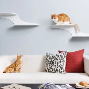 Refined Feline Cat Clouds Cat Shelf