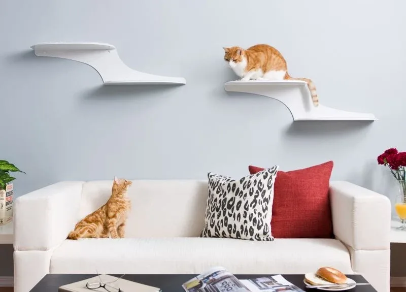 Refined Feline Cat Clouds Cat Shelf
