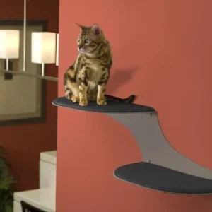Refined Feline Cat Clouds Cat Shelf