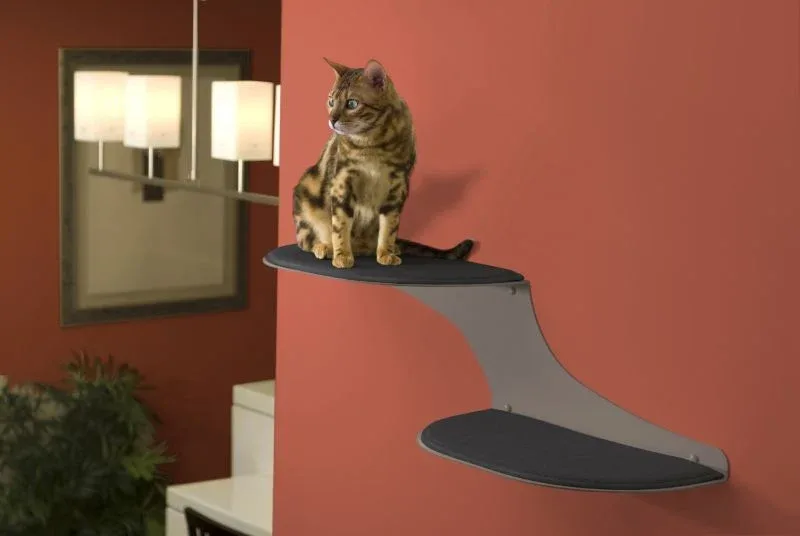 Refined Feline Cat Clouds Cat Shelf