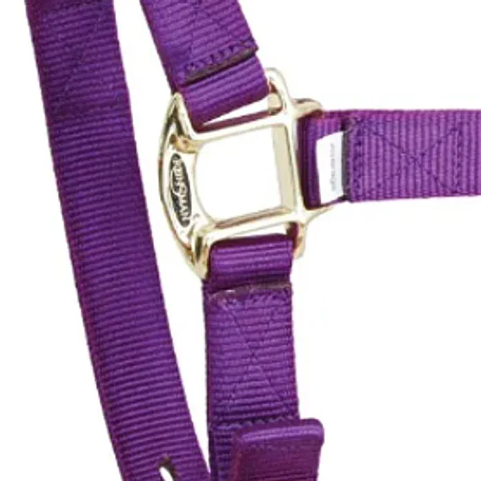 Reinsman Deluxe Purple Nylon Halter - Image 2