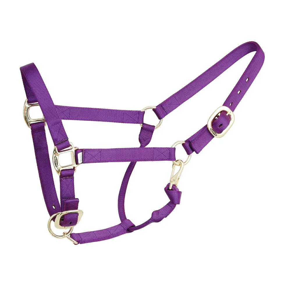 Reinsman Deluxe Purple Nylon Halter