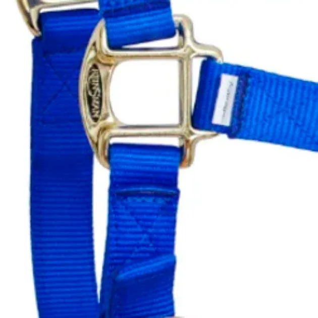 Reinsman Deluxe Royal Blue Nylon Halter - Image 2