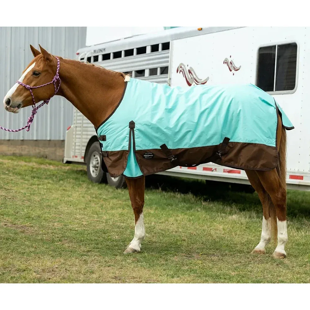 Reinsman Standard 600D Winter 200G Fill Blanket