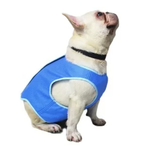 Reusable Dog Cooling Vest for Summer Walks