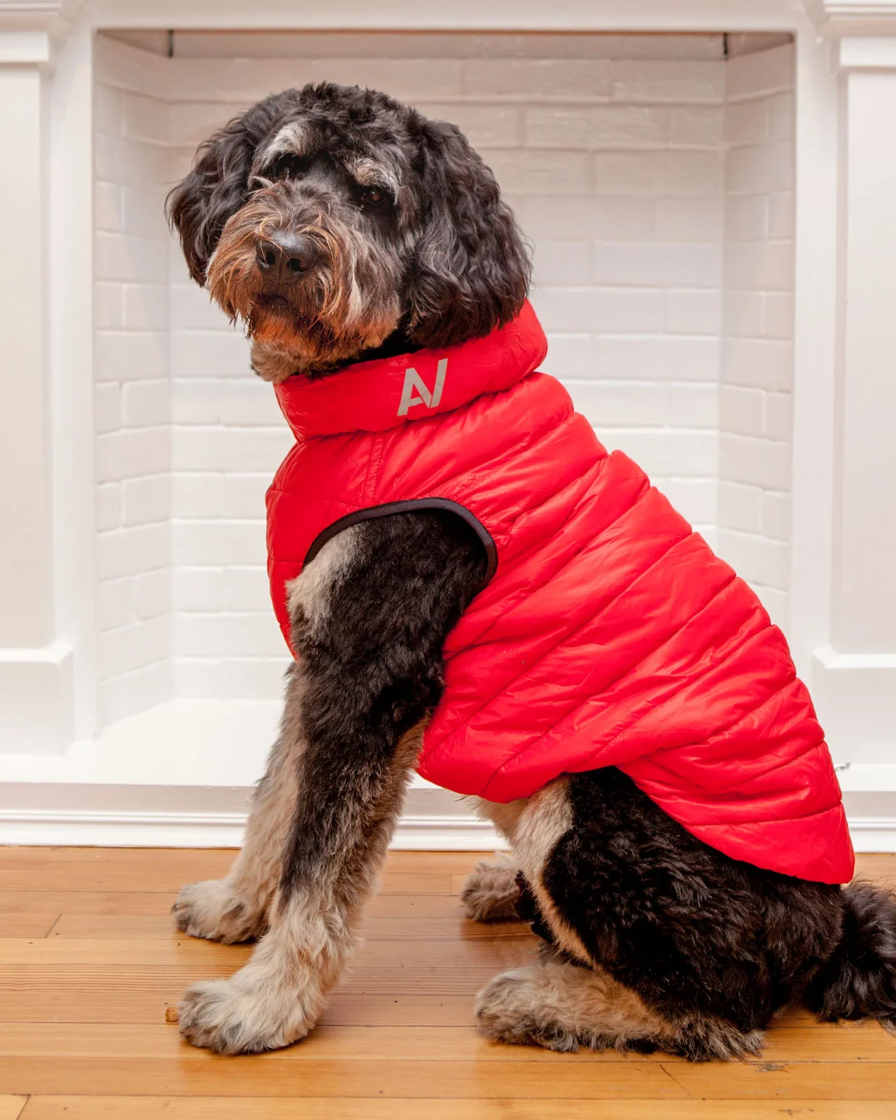 Reversible Puffer AiryVest in Red and Black <> - Image 2