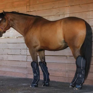 Rider’s International™ Shipping Boot Set