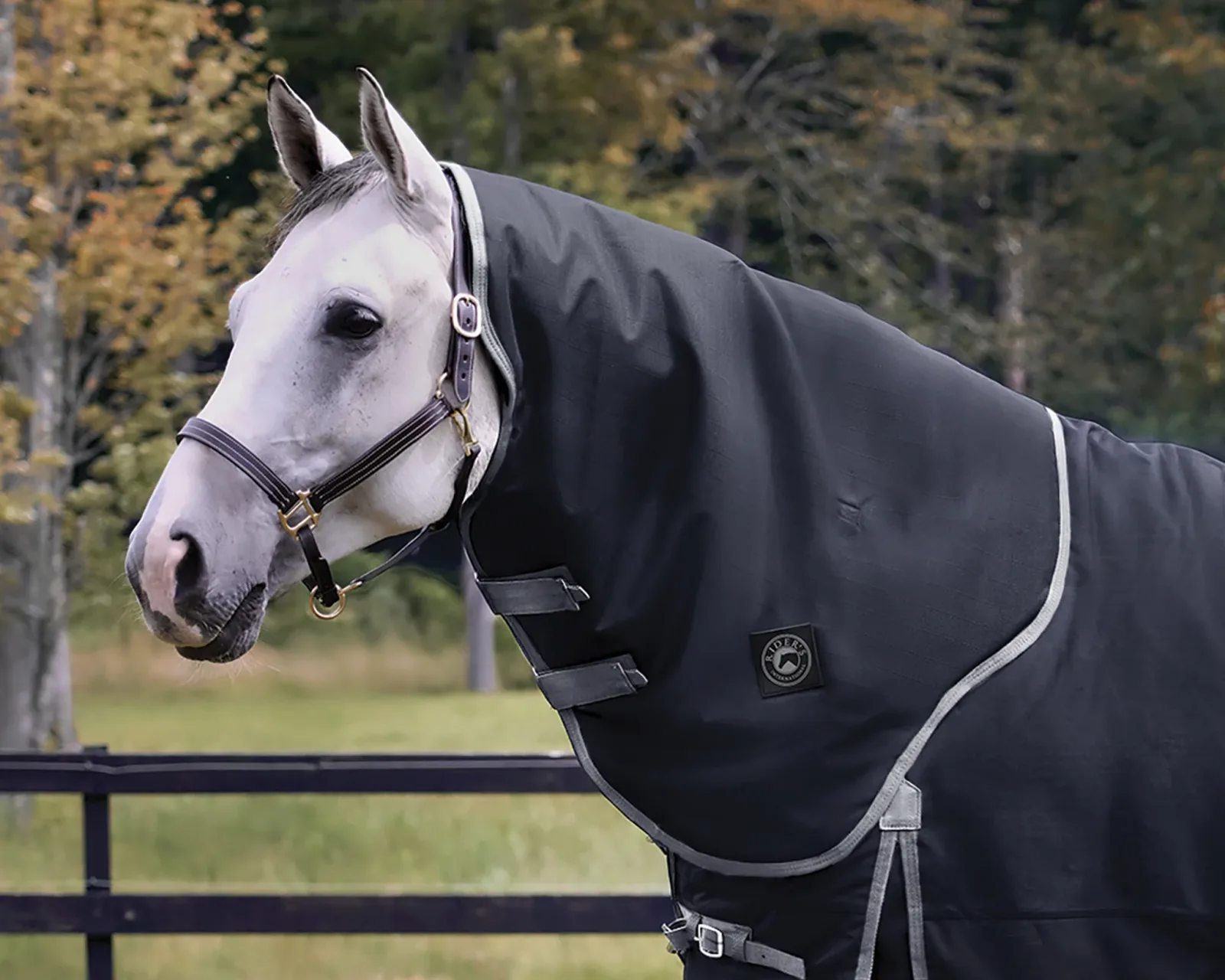 Rider's International Supreme Hood–100G - Image 2