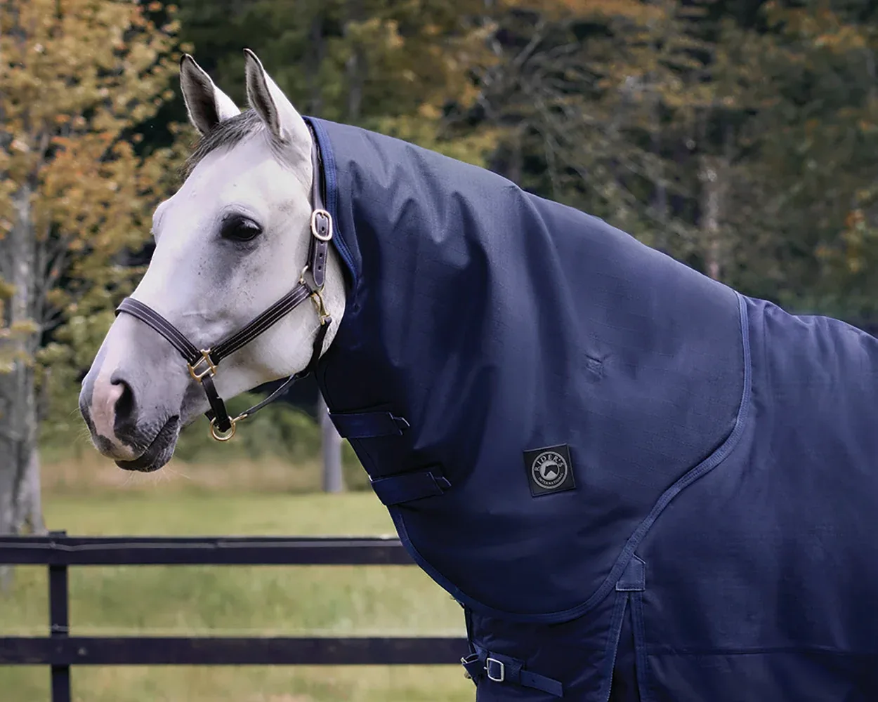 Rider's International Supreme Hood–100G