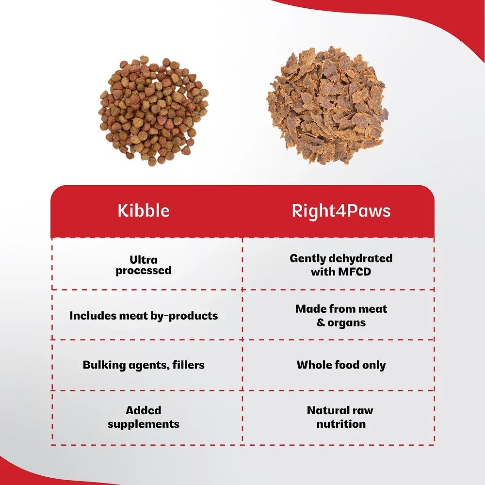 Right4Paws Ultimate Diet Energy+ Adult Dog Dry Food - Image 2