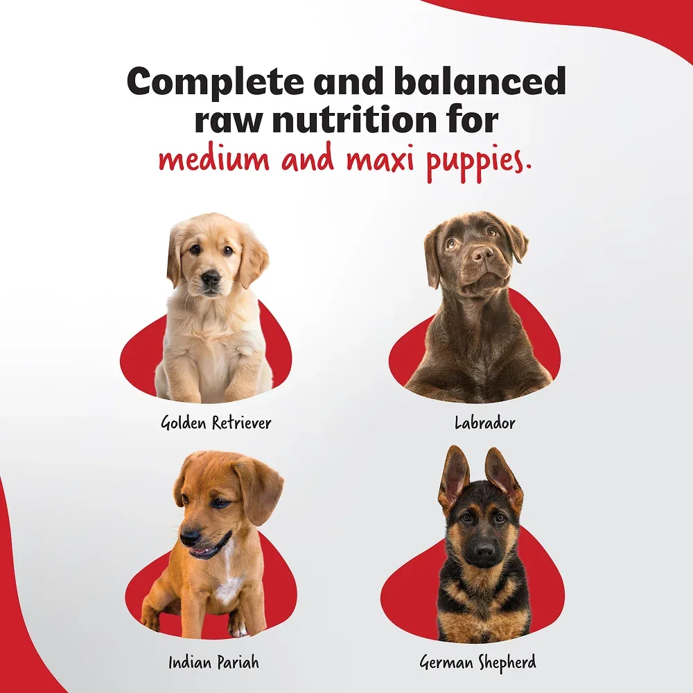 Right4Paws Ultimate Diet Medium & Maxi Puppy Dog Dry Food - Image 2