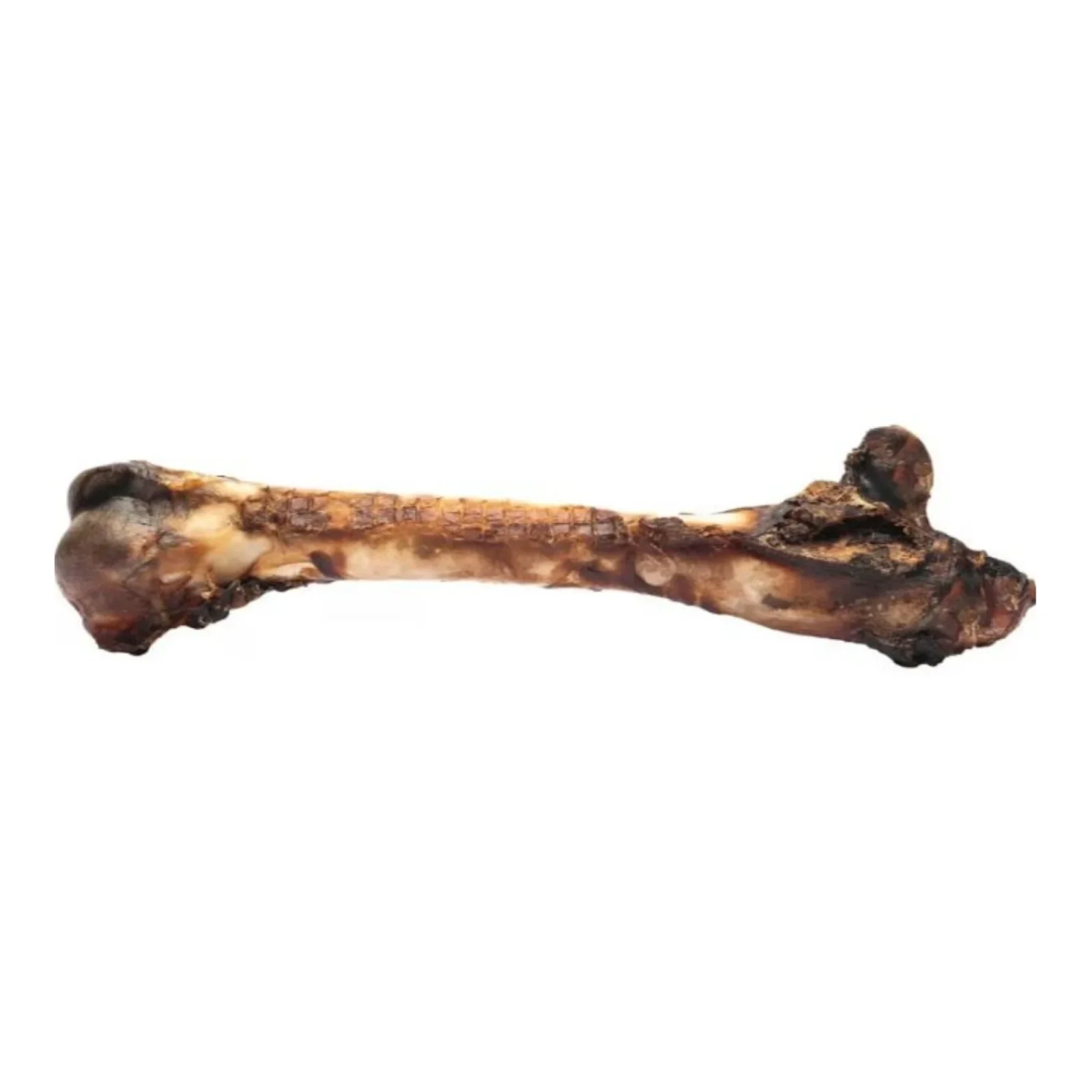 Roam Large Roo Chopper Femur Outback Kangaroo 1 Pk - Image 2