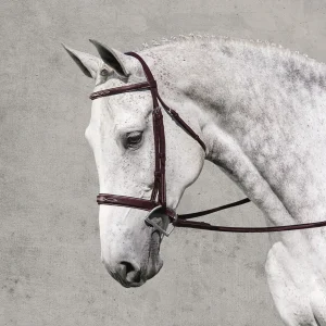 Rodrigo Classic Hunter Bridle