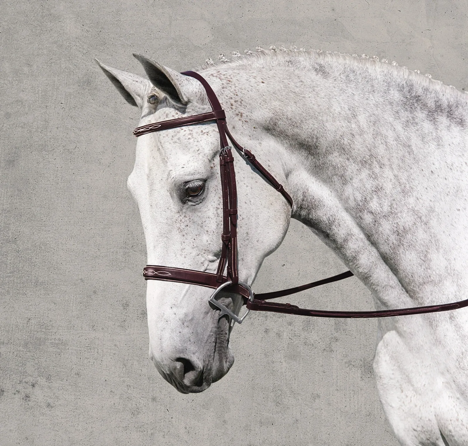 Rodrigo Classic Hunter Bridle