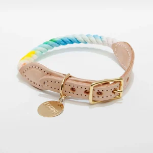 Rope Collar in Dog & Co. Ombre
