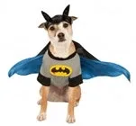 Rubies-Batman Pet Costume, Extra Large