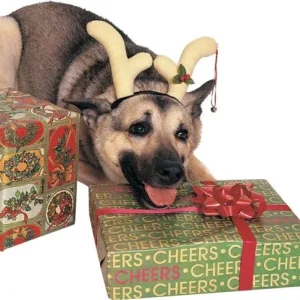 Rubies-Dog Reindeer Antlers