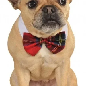 Rubies Plaid Pet Bowtie S-M