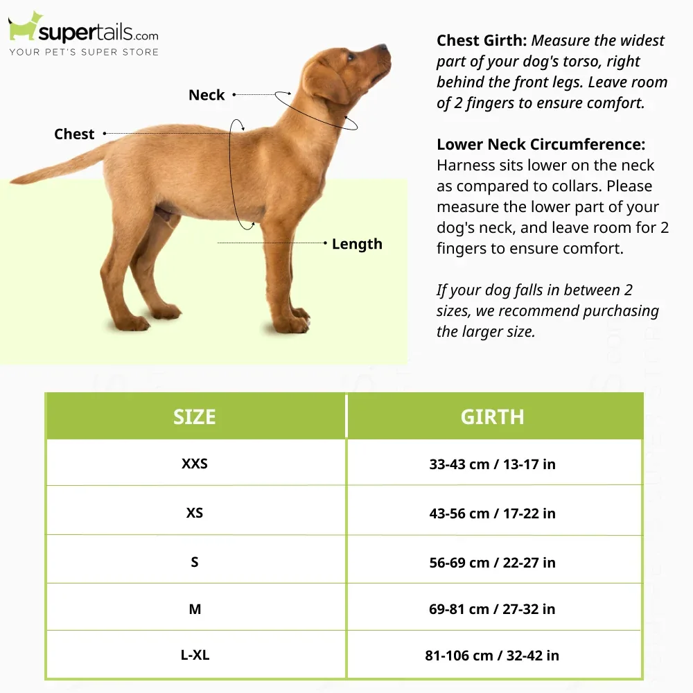 Ruffwear Webmaster Harness for Dogs (Blaze Orange) - Image 2