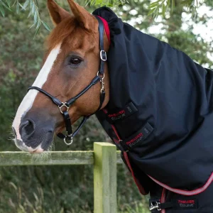 SALE Titan 100g Turnout Rug Neck Cover (200g Fill)