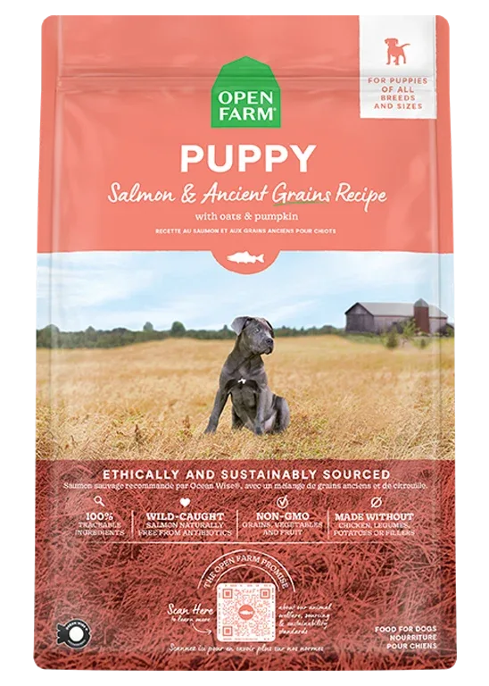 Salmon & Ancient Grains Puppy Kibble