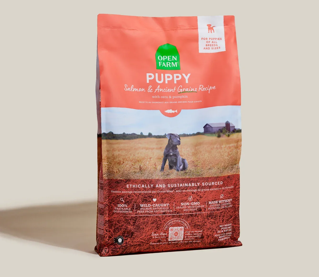 Salmon & Ancient Grains Puppy Kibble - Image 2