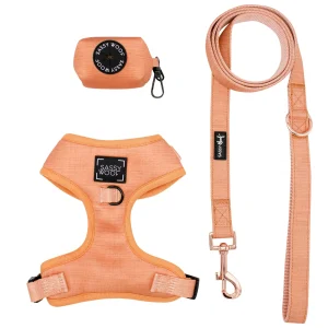 Sassy Woof Apple Cider Dog Harness, Leash and Waste Bag Holder Bundle