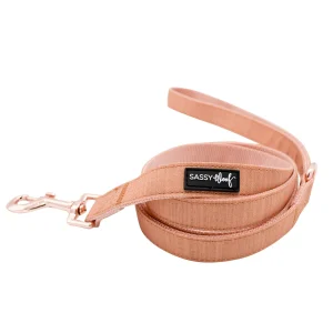 Sassy Woof Apple Cider Dog Leash: 5-ft long