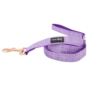 Sassy Woof Aurora Dog Leash: 5-ft long