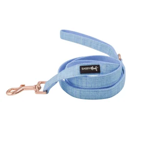 Sassy Woof Blumond Dog Leash: 5-ft long
