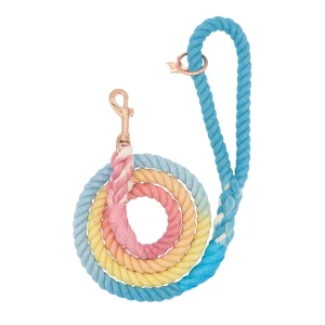 Sassy Woof Bright Dog Rope Leash: 5-ft long