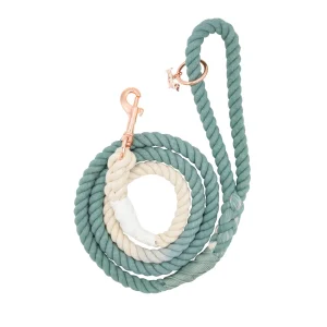 Sassy Woof Dandy Dog Rope Leash: 5-ft long