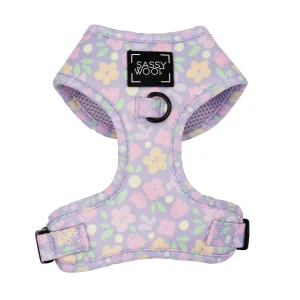 Sassy Woof Fleur De Sass Dog Harness