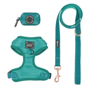 Sassy Woof Napa Dog Harness, Leash and Waste Bag Holder Bundle