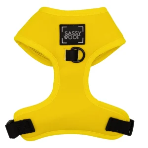 Sassy Woof Neon Dog Harness