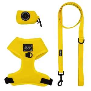 Sassy Woof Neon Dog Harness, Leash and Waste Bag Holder Bundle