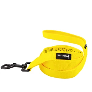 Sassy Woof Neon Dog Leash: 5-ft long