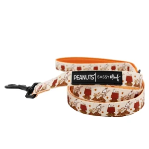 Sassy Woof Peanuts™ Harvest Fall Dog Leash, 5 FT