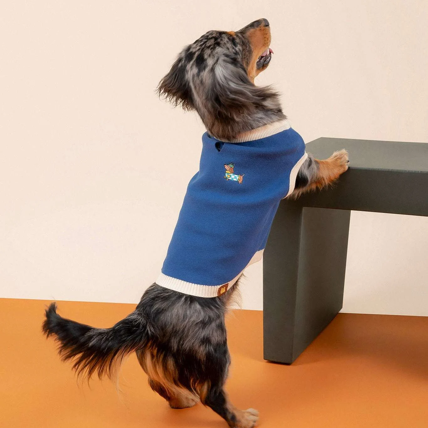 Sassy Woof x Sunbean Dog Tee - Image 2