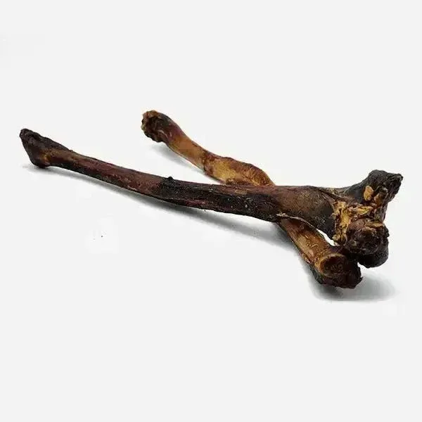 Savannah Ostrich Wing Bone Dog Treat - Long-lasting, Natural Gnaw Treat for Dogs