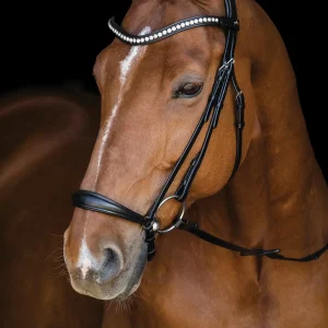 Schockemöhle Pisa Drop Nose Bridle