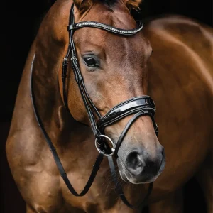 Schockemöhle Standford Glam Bridle